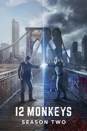 12 monos temporada  2 online