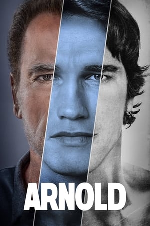 Arnold Online