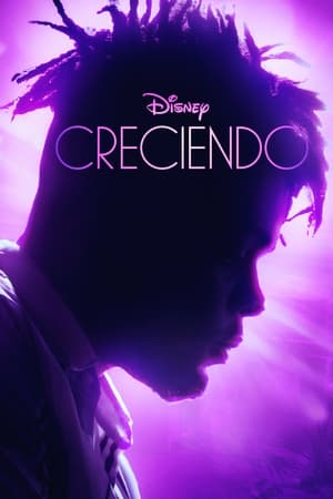 Creciendo Online