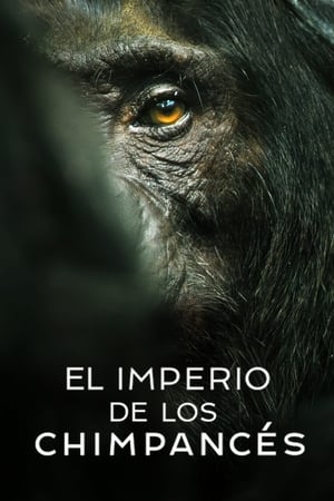 El imperio de los chimpancés Online
