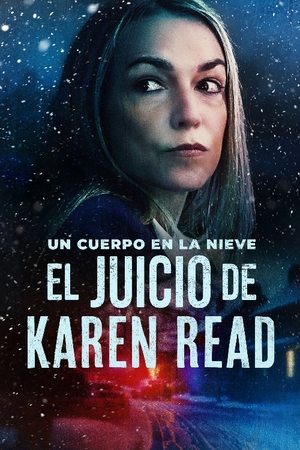 El Juicio de Karen Read Online