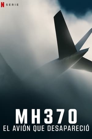 MH370: El avión que desapareció Online