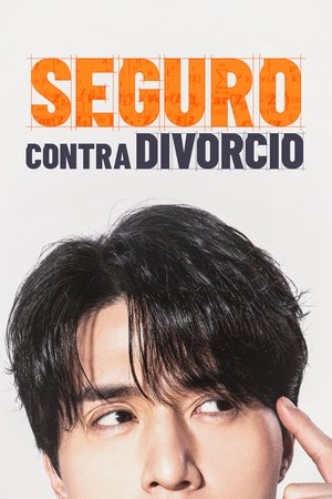Seguro de divorcio temporada  1 online