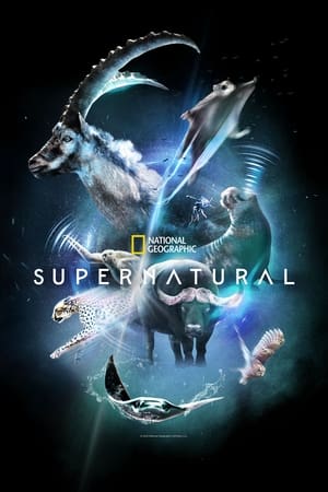 Super/Natural Online
