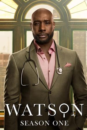 Watson temporada  1 online