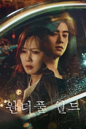 Wonderful World Corea temporada  1 online